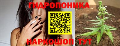 молекула духа Обь